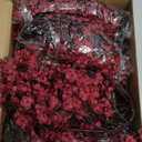 Giegxin 24 Pcs Babys Breath Silk Artificial Flowers Red Faux Flower 19.6 Inch Gypsophila Bouquets Bulk Burgundy Real Touch Floral for Vase Spring Decoration Home Office Table Centerpiece, Wine Red