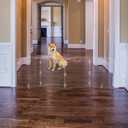 Clear Freestanding Dog Gate for Indoor Use,Pet Gates for Doorways no Drilling,Acrylic Foldable Dog Gate for Stairs with Support Feet (4 Panel - 80''W x 23''H)