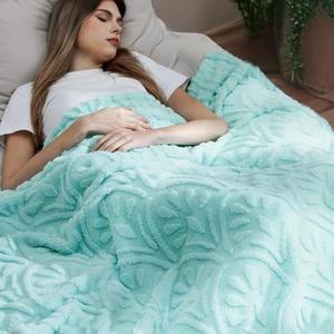 Bedsure Blue Throw Blanket for Couch - Super Soft Blankets for Women, Cute Home Decorations Fleece Throws for Girls, 50x60 Inches