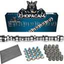 Stage 2 Cam Kit with .560 Lift Beehive Springs Seals Pushrods for LS Truck Camshaft for 4.8 5.3 6.0 6.2 Vortec 1999-2013