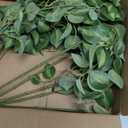 HyeFlora 5PCS Artificial Eucalyptus Leaves Stem Plants for Spring Decor, 32.7 inch Fake Leaves Greenery Branches Green Shrubs Silk Faux Foliage DIY Stems for Festival Home Kitchen Farmhouse(Green)