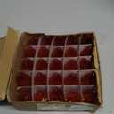 Northlight C9 Transparent Incandescent Christmas Replacement Bulbs - Orange - Pack of 25