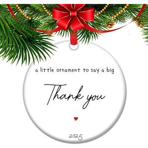 Thank You Gift 2025 Christmas Ornament - Appreciation Keepsake for Teachers, Nurses, Doctors & Mentors, Uplifting Positive Gift for Healthcare Workers & Educators (C9)