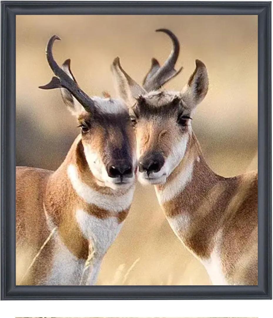 21x24 inch Poster Frame Solid Wood Black, Wall Hanging Picture Frame  (F23B2124)