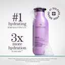 Pureology Hydrate Shampoo - For Dry or Color Treated Hair, Moisturizing Shampoo For Hydration & Softness, With Rose Extract & Green Tea, Vegan & Sulfate-Free