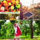 4PCS Bird Netting for Blueberry Bushes 4x5.9FT,Fruit Trees Mesh Bag with Drawstring Garden Insect Nettings Pest Barrier Netting Plant Row Cover White Mosquito Net for Fruit/Flower/Herb/Vegetables