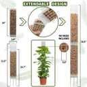 2PCS 18.7-Inch D-Shaped Self-Watering Moss Pole - Plastic Monstera Support for Indoor Climbing Plants. (2, White)