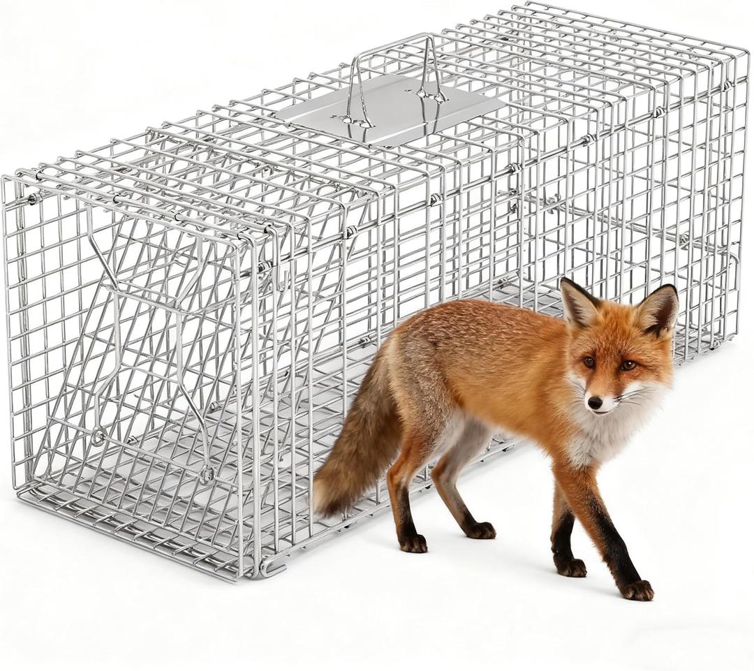 Humane Animal Trap Cage Collapsible Cat Trap Cage Live Animal Rodent Cage with Galvanized Wire for Raccoons Beavers Groundhogs Armadillos