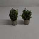 2 Pack Small Fake Plants Eucalyptus Potted Artificial Plants for Shelf Desk Home Bathroom Farmhouse Room Coffee Table Decor (Sage Green)