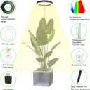 Plant Grow Light,yadoker LED Growing Light Full Spectrum for Indoor Plants,Height Adjustable, Automatic Timer, 5V Low Safe Voltage,Idea for Large Plant Light