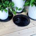 Plant Saucer 8 Inch 2Pack, Plant Trays for Pots Heavy Duty Round Plastic Plant Saucers for Indoors Outdoors, Flower Pot Drip Trays, Plant Water Catcher Tray (Clear black)