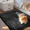 Ophanie Small Black Entryway Throw Rugs for Bedroom, 2x3 Mini Area Rug, Affordable Non Slip Fluffy Carpet, Fuzzy Soft Living Room Rugs, Home Decor Aesthetic, Nursery