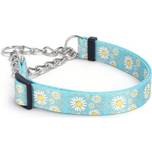 Martingale Dog Collar with Stainless Steel Chain - Cute Daisy Design Patterns Pet Collar for Large, Medium Dogs (Light Blue, Medium)
