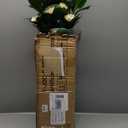 Artificial Camellia Tree 5ft, Indoor Fake Plant with Realistic Trunk, Leaves,White Flowers and White Planter, Faux Potted Tree for Home Decor and Housewarming Gift