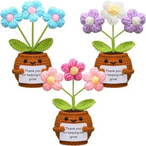 3 Pcs Christmas Teacher Gifts Positive Handmade Crochet Doll Thank You for Helping Me Grow Teacher Appreciation Gift for Women Valentine End of Year(Puff Flower)