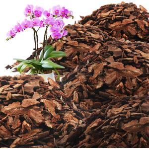 AVALUTION Orchid Potting Bark-29QT Organic Orchid Bark for Plants, All Natural Pine Bark Wood Chips for Houseplant Mulch, Orchid Plants Root Development, Mulch for Potted Plants (Large)
