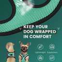 FAYOGOO Service Dog Vest Set for Small Dogs, Mesh Harness and Leash