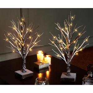 Hairui Pre Lit Tabletop Snow Dusted Tree with Timer 24LED 18IN Battery Operated for Christmas Valentine Party Decoration 2 Set