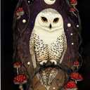 DIENADFX Vintage Moody Gothic Owl Canvas Wall Art Decor for Home, Dark Cottagecore Romance Witchy Owls Bathroom Paintings Wall Decor Decorations, Dark Academia Wall Art Pictures Painting, 11x14 Inch