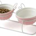 Elevated Tilted Cat Bowls with Metal Stand, Raised Ceramic Food and Water Bowls, Double Removable Dishes with Cute Wing Design, 15 Tilted Anti-Vomiting Pet Feeder, Non-Slip for Indoor Cats (Pink)