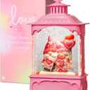 Valentines Snow Globe Lantern with Timer and Music, USB and Battery Tabletop Love Letter Balloon Gnome 10.2 inch