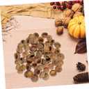 2 x Angoily Natural Acorn Shells 50Pcs 0.78In Dried Acorn Craft Decorations for Autumn Wedding Christmas Tree Photo Props Home Party Hanging Ornaments