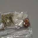 25 Sets Wedding Invitation Kit Vellum Jackets for 5x7 Invitations, 4 Rolls Chiffon Ribbon, Dried Gypsophila and Wax Seal Stickers for Wedding Invitation Accessories Elegant DIY Weddings Supplies