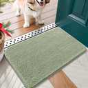 OLANLY Dog Door Mat for Muddy Paws 24x16, Absorbs Moisture and Dirt, Absorbent Non-Slip Washable Doormat, Quick Dry Chenille Mud Mat for Dogs, Entry Indoor Entryway Carpet for Inside Floor, Sage Green