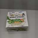 Grow Forward Premium Wheat Straw Plates - 10 Inch Reusable Hard Plastic Dinner Plates Set of 8 - Unbreakable & Microwave Safe Dishes for Dessert, Camping, RV, Outdoors, Patio, Kitchen - Seascape