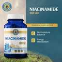 Vykee Nutrition Niacinamide Capsules - Vitamin B3 Supplement 500 mg