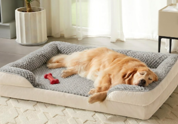 LEXTRO Orthopedic Dog Bed for Extra Large Dogs, Egg Crate Foam Bed for Extra Large Dogs, Equipped with Removable Waterproof Pillow Cover and Anti-Slip Bottom, Pet Bed