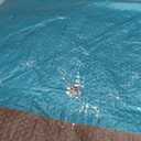 Kotap 6 x 8 Ft. All-Purpose Multi-Use Protection/Coverage 5-mil Poly Tarp, Reversible, Waterproof, Brown/Green, 30-Pack (TBG-0608-30)