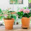 Melphoe Plant Pots Indoor with Drainage & Saucer, 2Pack 10 inch Flower Pots Outdoor Planters for Indoor Plants Garden Home Decor Cactus Succulent, Rigid Plastic (Imitation-Terracotta) Vine-Embossed
