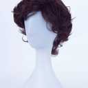 Angelaicos Men's Short Curly Brown Black Wig Halloween Costume Cosplay Party Fluffy Wigs (Brown)
