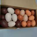 Beeveer 50 Pcs Plastic Easter Eggs Bulk for Easter Hunt 1.6 x 2.4 Inch Colorful Hanging Plastic Eggs for Basket Fillers Party Favor DIY Crafts Decoration(Brown Series)