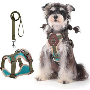 Small Dog Harness and Leash Set, Breathable Mesh Puppy Harness, Adjustable Dog Harness for Small Medium Large Dogs, No-Pull Pet Harness for Daily Walking (Lakeblue, Small)
