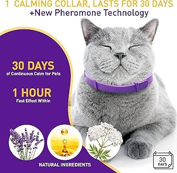Calming Collar for Cats, Pheromone Cat Calming Collar for Anxiety Relief & Stress, Adjustable Water Resistant Breakaway Calming Collars, Natural Ingredients (Pack of 6)