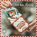 2 x Seagull Surfing Ornament 2025 - Animal Snow Surfing Ornament, Winter Holiday Decor - Bird Hanging Keepsake, Beach Themed Christmas Tree Decoration, Funny Xmas Gift Ideas for Seagull Lovers