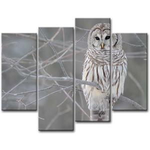 Owl Wall Art Painting White Owl in The Tree Prints On Canvas The Picture Animal Pictures Oil for Home Modern Decoration Print Décor