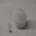 W&A GLASS MUSHROOM LIGHT white Frosted Color Changing USB Lamp Light