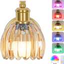 VerRon Rechargeable Battery Operated Wall Sconce with Amber Glass Lampshade, Wireless Wall Scone Decor with Remote Control, 15 Colors Gold Wall Light for Bedside Hallway Bedroom Doorway