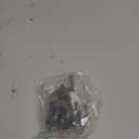 12Pcs Add Some Humor and Funny to Your Fridge with Our Wild Animal Butt Magnets - Perfect for Home Refrigerator Magnets for Adults or Kids (Animal Butts)