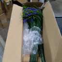 Ammyoo Artificial Faux Plants Flowers for Outdoor Decorations, Fake Monkey Grass for Outside Porch Patio, No Fade Realistic Greenery Plant, UV Resistant Artificial Shrubs for Courtyard Window Garden