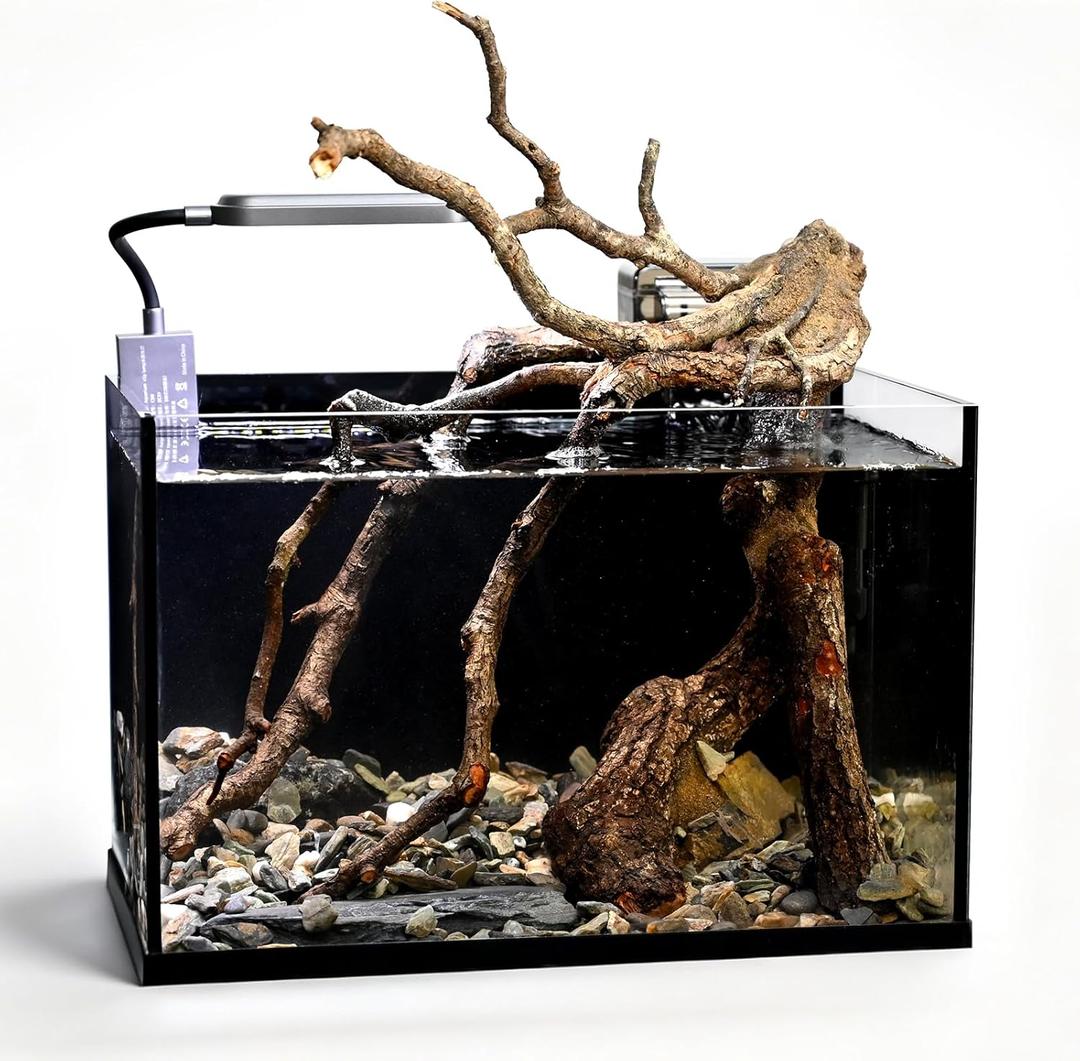 2.8 Gallon Glass Small Fish Tank, Nano Nature Aquarium Starter Kit with Pedestal Base, Light and Filter, Ultra Clear Desktop Fish Tank for Small Fish, Shrimp, Goldfish, or Betta, Black