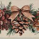 Winter Pine Cone Decorative Front Door Mat, Bow Pine Needle Red Berry Welcome Doormat Indoor Outdoor Non-Slip Floor Entryway Rug, Christmas Seasonal Home Kitchen Decoration 17x29 Inch