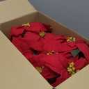 2 Pack Large Outdoor 18" Pre-Lit Christmas Decorations Flower LED Lighted Artificial Poinsettia Plants - Faux Poinsettia Flowers in Pot with Lights for Outdoor Use (Red,18inch)