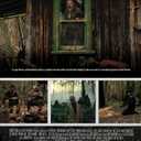 The Rooster [DVD]
