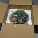 MyGift 8 Inch Round Modern Artificial Succulent Arrangement Potted in Gray Concrete Plant Bowl, Assorted Faux Mini Succulents in a Decorative Planter Pot (Grey)