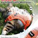 Cat Harness and Leash for Walking Escape Proof Soft Adjustable Cat Leash Breathable Comfortable Vest Easy to Wear Kitten Harness for Outdoor Travel (Orange, S (7-12lb))