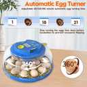 Incubator for Hatching Eggs-18 Egg Incubator with Automatic Egg Turning and Humidity Control 360View Incubadora De Huevos,Ducks,Goose,Pigeon,Quail Incubator for Home,Farm,Lab,Science Classroom